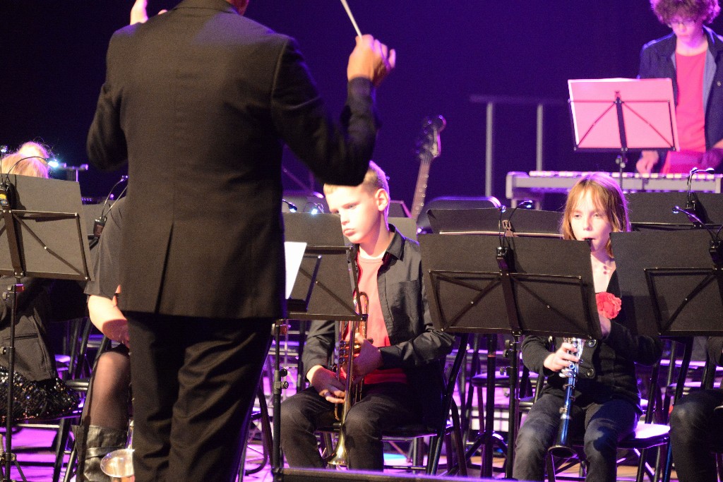 ../Images/Jubileumconcert 100 jaar Harpe Davids 140.jpg